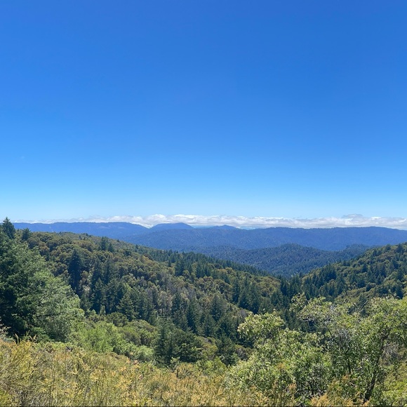 Meet your Posher, A - Picture 1 of 1